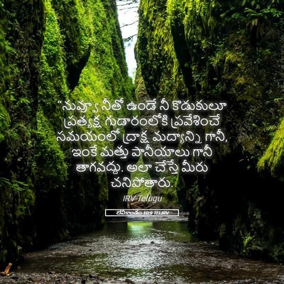 Picture 05 - లేవీకాండం 10:9 TELIRV - “నువ్వూ నీతో ఉండే - Bible Verse Picture