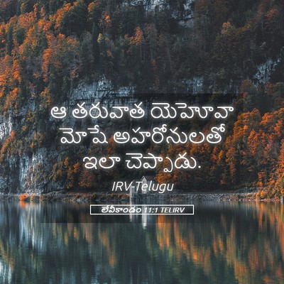 Picture 05 - లేవీకాండం 11:1 TELIRV - ఆ తరువాత యెహోవా - Bible Verse Picture