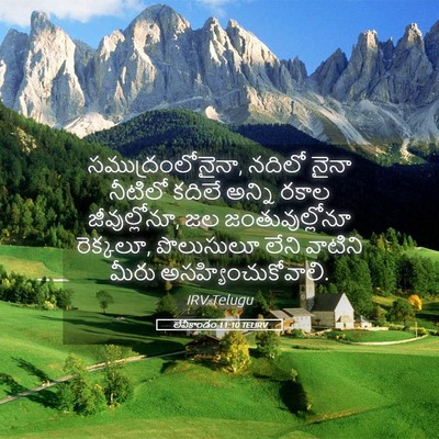 Picture 05 - లేవీకాండం 11:10 TELIRV - సముద్రంలోనైనా, - Bible Verse Picture