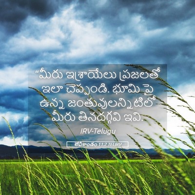 Picture 05 - లేవీకాండం 11:2 TELIRV - “మీరు ఇశ్రాయేలు - Bible Verse Picture