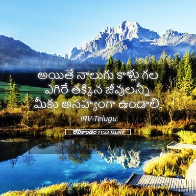 Picture 05 - లేవీకాండం 11:23 TELIRV - అయితే నాలుగు - Bible Verse Picture