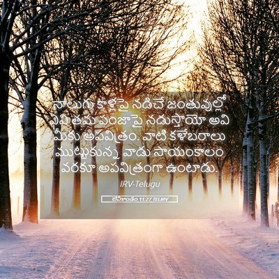 Picture 05 - లేవీకాండం 11:27 TELIRV - నాలుగు కాళ్లపై - Bible Verse Picture