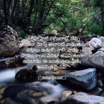 Picture 05 - లేవీకాండం 11:28 TELIRV - ఎవరైనా వాటి - Bible Verse Picture