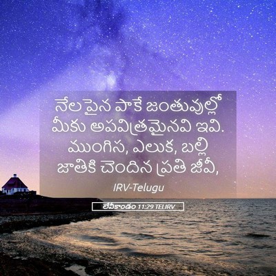 Picture 05 - లేవీకాండం 11:29 TELIRV - నేలపైన పాకే - Bible Verse Picture