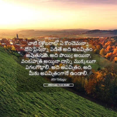 Picture 05 - లేవీకాండం 11:35 TELIRV - వాటి కళేబరాల్లో ఏ - Bible Verse Picture
