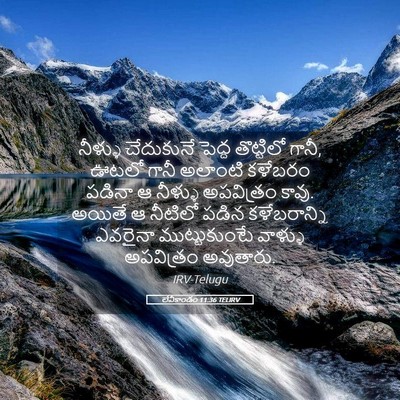 Picture 05 - లేవీకాండం 11:36 TELIRV - నీళ్ళు చేదుకునే - Bible Verse Picture