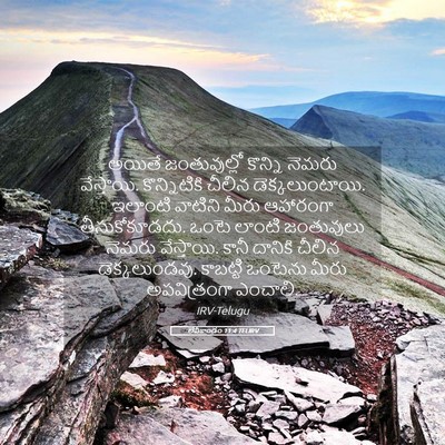 Picture 05 - లేవీకాండం 11:4 TELIRV - అయితే జంతువుల్లో - Bible Verse Picture
