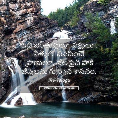 Picture 05 - లేవీకాండం 11:46 TELIRV - ఇది జంతువులూ, - Bible Verse Picture