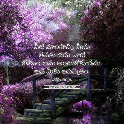 Picture 05 - లేవీకాండం 11:8 TELIRV - వీటి మాంసాన్ని - Bible Verse Picture