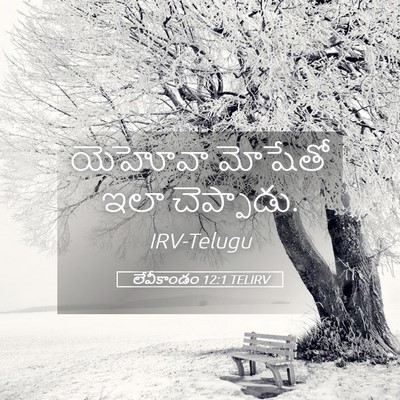Picture 05 - లేవీకాండం 12:1 TELIRV - యెహోవా మోషేతో ఇలా - Bible Verse Picture
