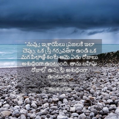 Picture 05 - లేవీకాండం 12:2 TELIRV - “నువ్వు ఇశ్రాయేలు - Bible Verse Picture