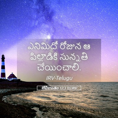Picture 05 - లేవీకాండం 12:3 TELIRV - ఎనిమిదో రోజున ఆ - Bible Verse Picture