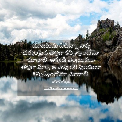 Picture 05 - లేవీకాండం 13:10 TELIRV - యాజకుడు ఏదన్నా - Bible Verse Picture