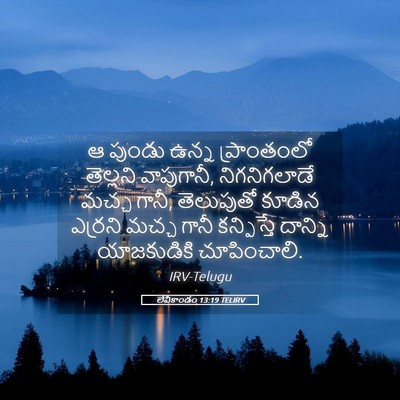Picture 05 - లేవీకాండం 13:19 TELIRV - ఆ పుండు ఉన్న - Bible Verse Picture