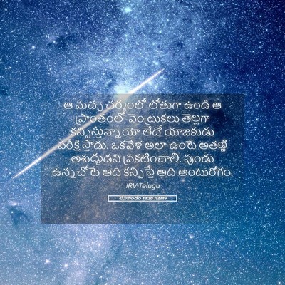Picture 05 - లేవీకాండం 13:20 TELIRV - ఆ మచ్చ చర్మంలో - Bible Verse Picture