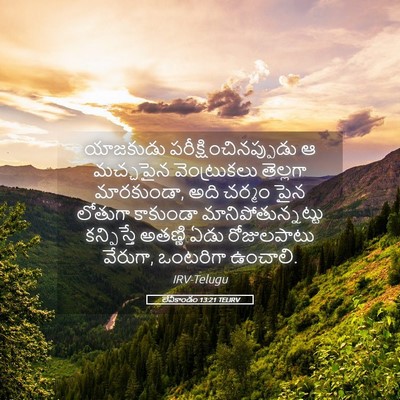 Picture 05 - లేవీకాండం 13:21 TELIRV - యాజకుడు - Bible Verse Picture