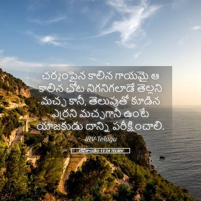 Picture 05 - లేవీకాండం 13:24 TELIRV - చర్మంపైన కాలిన - Bible Verse Picture