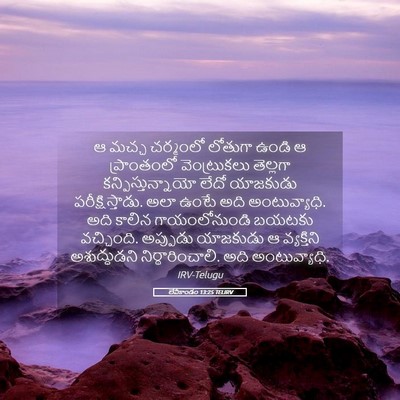 Picture 05 - లేవీకాండం 13:25 TELIRV - ఆ మచ్చ చర్మంలో - Bible Verse Picture