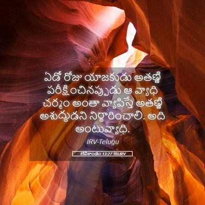 Picture 05 - లేవీకాండం 13:27 TELIRV - ఏడో రోజు యాజకుడు - Bible Verse Picture