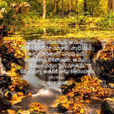 Picture 05 - లేవీకాండం 13:32 TELIRV - ఏడో రోజు యాజకుడు ఆ - Bible Verse Picture