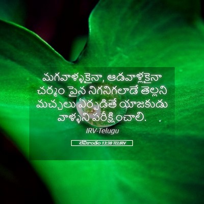 Picture 05 - లేవీకాండం 13:38 TELIRV - మగవాళ్ళకైనా, - Bible Verse Picture