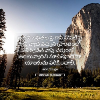 Picture 05 - లేవీకాండం 13:43 TELIRV - అతని బట్టతలపై - Bible Verse Picture