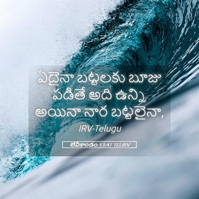 Picture 05 - లేవీకాండం 13:47 TELIRV - ఏదైనా బట్టలకు - Bible Verse Picture