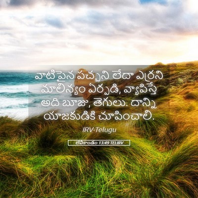 Picture 05 - లేవీకాండం 13:49 TELIRV - వాటిపైన పచ్చని - Bible Verse Picture
