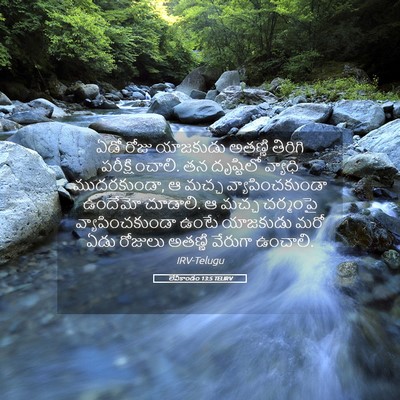 Picture 05 - లేవీకాండం 13:5 TELIRV - ఏడో రోజు యాజకుడు - Bible Verse Picture