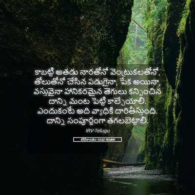 Picture 05 - లేవీకాండం 13:52 TELIRV - కాబట్టి అతడు - Bible Verse Picture