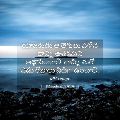 Picture 05 - లేవీకాండం 13:54 TELIRV - యాజకుడు ఆ తెగులు - Bible Verse Picture