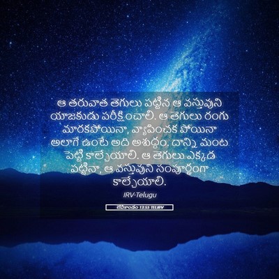 Picture 05 - లేవీకాండం 13:55 TELIRV - ఆ తరువాత తెగులు - Bible Verse Picture