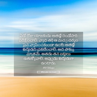 Picture 05 - లేవీకాండం 13:6 TELIRV - ఏడో రోజు యాజకుడు - Bible Verse Picture