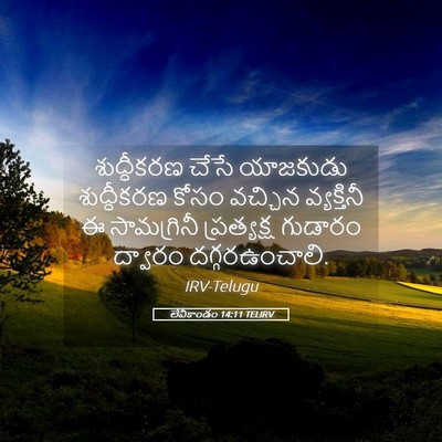 Picture 05 - లేవీకాండం 14:11 TELIRV - శుద్ధీకరణ చేసే - Bible Verse Picture