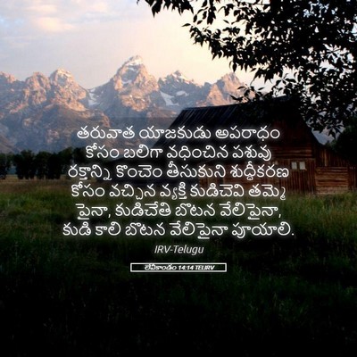 Picture 05 - లేవీకాండం 14:14 TELIRV - తరువాత యాజకుడు - Bible Verse Picture