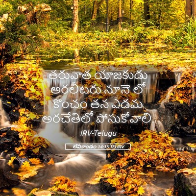 Picture 05 - లేవీకాండం 14:15 TELIRV - తరువాత యాజకుడు - Bible Verse Picture
