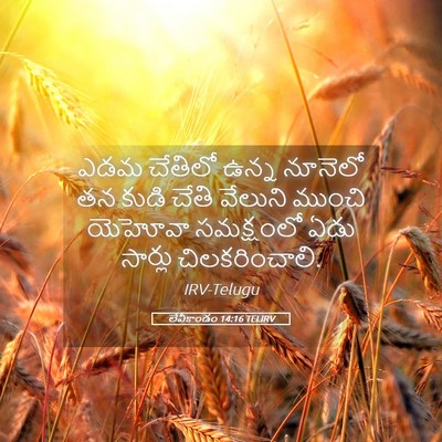 Picture 05 - లేవీకాండం 14:16 TELIRV - ఎడమ చేతిలో ఉన్న - Bible Verse Picture