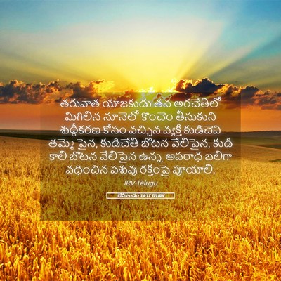 Picture 05 - లేవీకాండం 14:17 TELIRV - తరువాత యాజకుడు తన - Bible Verse Picture