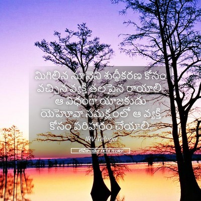 Picture 05 - లేవీకాండం 14:18 TELIRV - మిగిలిన నూనెని - Bible Verse Picture