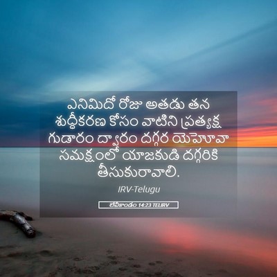 Picture 05 - లేవీకాండం 14:23 TELIRV - ఎనిమిదో రోజు అతడు - Bible Verse Picture