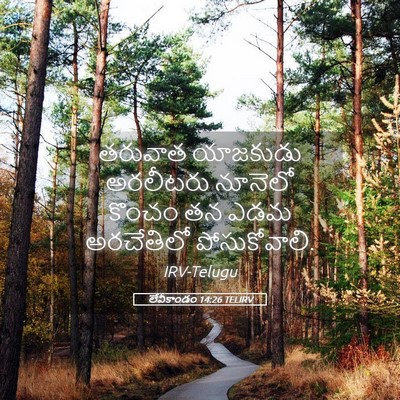 Picture 05 - లేవీకాండం 14:26 TELIRV - తరువాత యాజకుడు - Bible Verse Picture