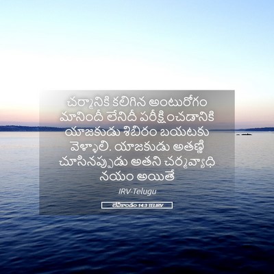 Picture 05 - లేవీకాండం 14:3 TELIRV - చర్మానికి కలిగిన - Bible Verse Picture