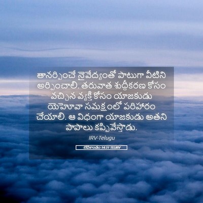 Picture 05 - లేవీకాండం 14:31 TELIRV - తానర్పించే - Bible Verse Picture