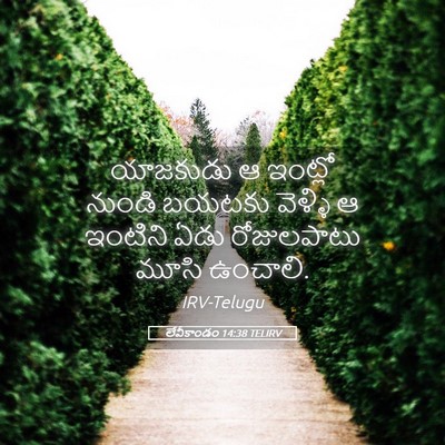 Picture 05 - లేవీకాండం 14:38 TELIRV - యాజకుడు ఆ ఇంట్లో - Bible Verse Picture