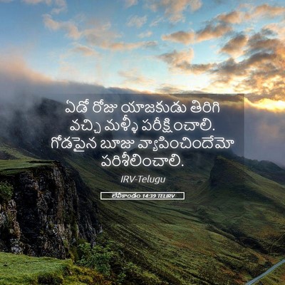 Picture 05 - లేవీకాండం 14:39 TELIRV - ఏడో రోజు యాజకుడు - Bible Verse Picture