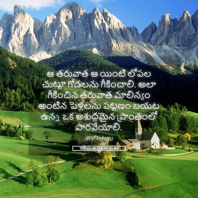 Picture 05 - లేవీకాండం 14:41 TELIRV - ఆ తరువాత ఆ యింటి - Bible Verse Picture