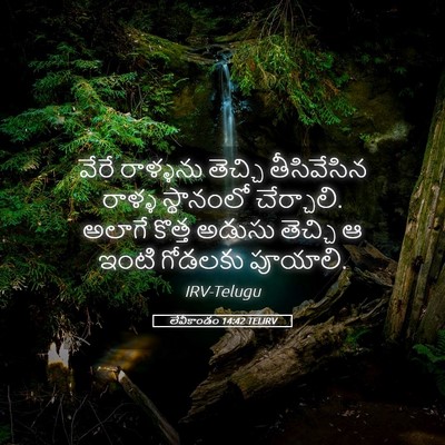 Picture 05 - లేవీకాండం 14:42 TELIRV - వేరే రాళ్ళను - Bible Verse Picture
