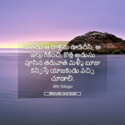 Picture 05 - లేవీకాండం 14:43 TELIRV - అతడు ఆ రాళ్లను - Bible Verse Picture