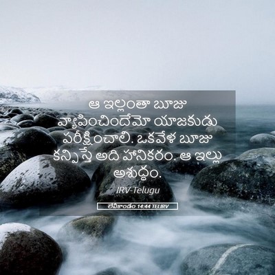 Picture 05 - లేవీకాండం 14:44 TELIRV - ఆ ఇల్లంతా బూజు - Bible Verse Picture