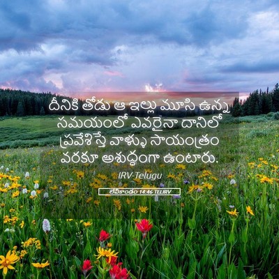 Picture 05 - లేవీకాండం 14:46 TELIRV - దీనికి తోడు ఆ - Bible Verse Picture